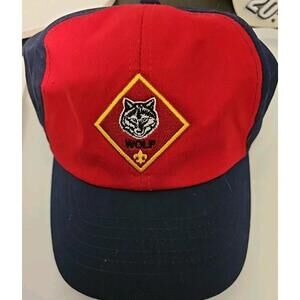 boys scout hat